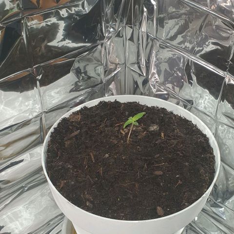 1. growlog timeline photo