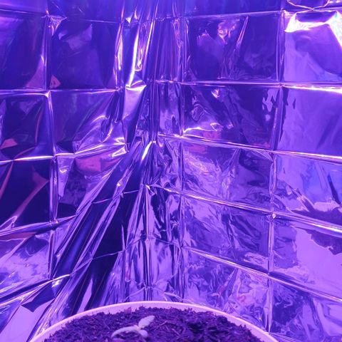 1. growlog timeline photo