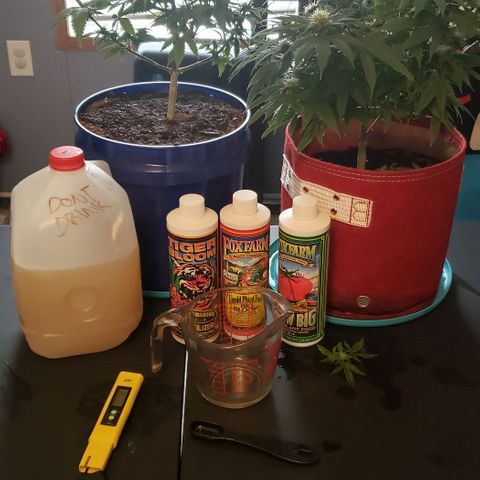 Unknown strain growlog timeline photo