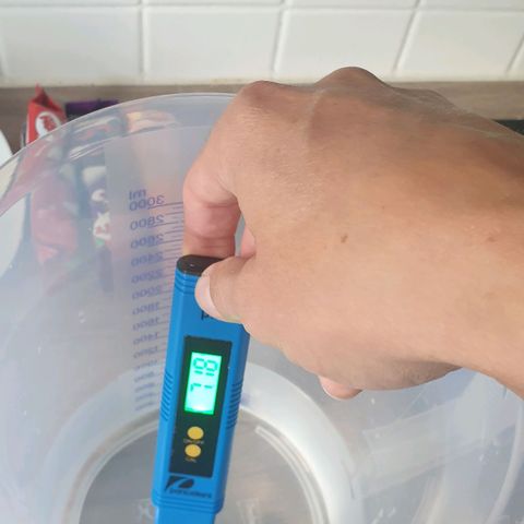 Biscotti growlog timeline photo