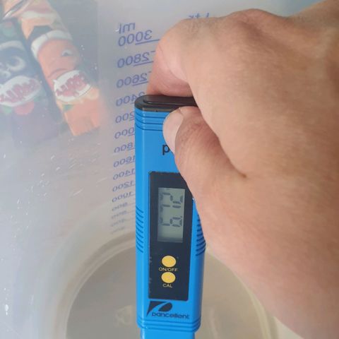 Biscotti growlog timeline photo