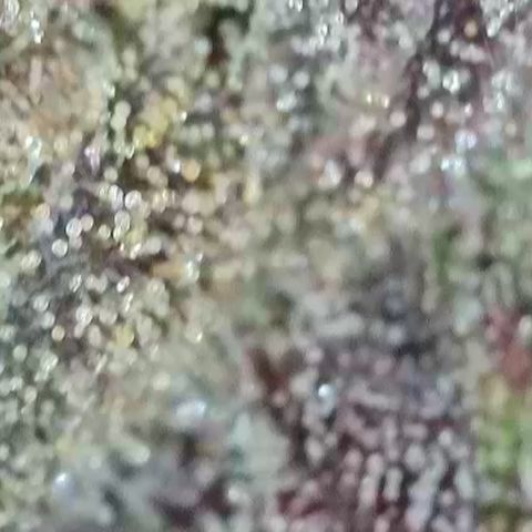 Northern Lights growlog timeline photo