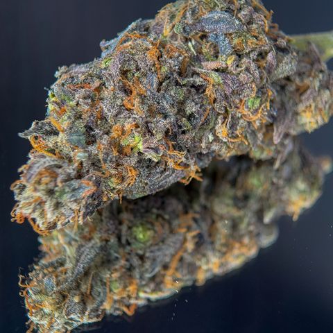Northern Lights growlog timeline photo