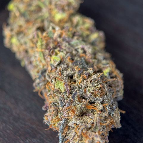 Northern Lights growlog timeline photo