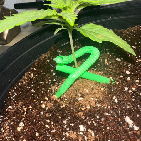 Northern Lights Auto growlog timeline photo