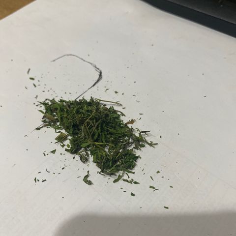 Unknown strain growlog timeline photo
