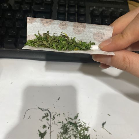 Unknown strain growlog timeline photo
