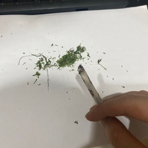 Unknown strain growlog timeline photo