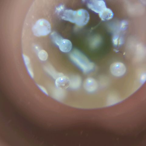 Hera growlog timeline photo