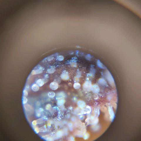 Hera growlog timeline photo