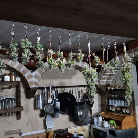 Hera growlog timeline photo