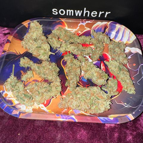 Blue Mystic Automatic(SoloCupRun) growlog timeline photo