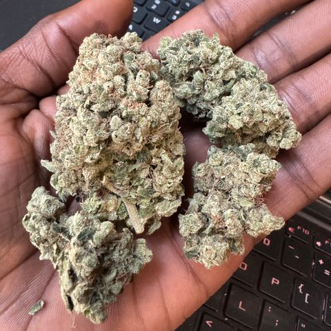 Glue growlog timeline photo