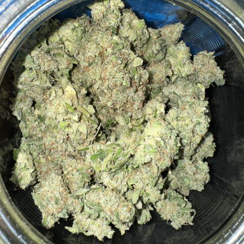 White Truffle Auto growlog photo: Semi dry- four days. Temp 66-75f humidity 42-58.