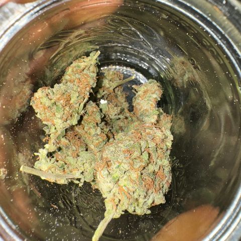 Blue Mystic Automatic(SoloCupRun) growlog timeline photo