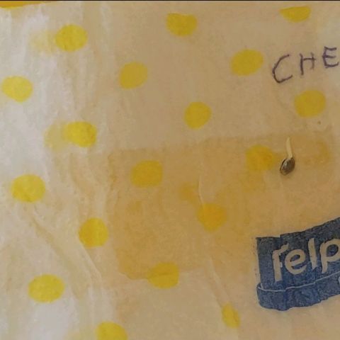 ChemPie #1 growlog photo: 2 Chempie germinan y son plantadas 