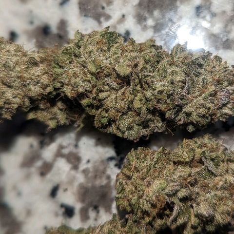 Apple Candies growlog timeline photo