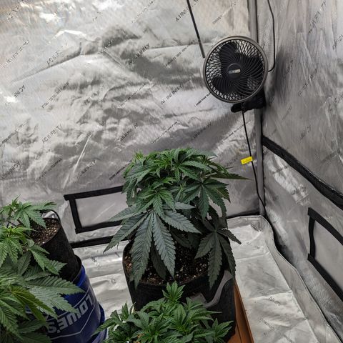 Permanent Marker x Gary Satan growlog timeline photo