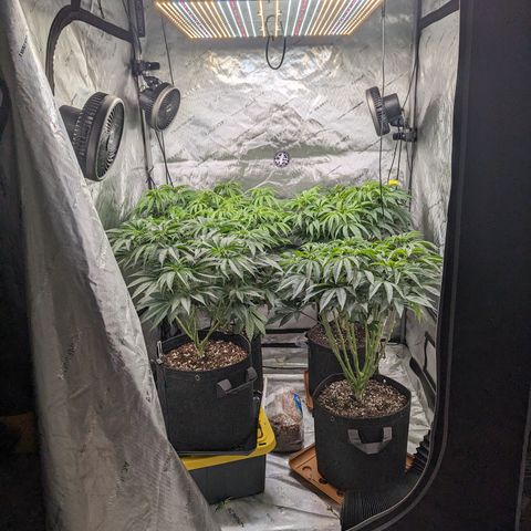 Permanent Marker x Gary Satan growlog timeline photo
