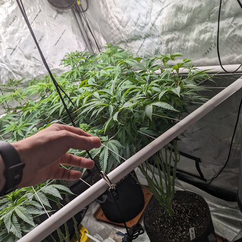 Permanent Marker x Gary Satan growlog timeline photo
