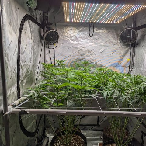 Permanent Marker x Gary Satan growlog timeline photo