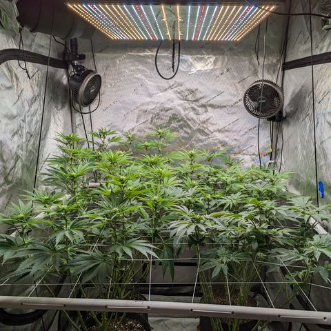 Permanent Marker x Gary Satan growlog timeline photo