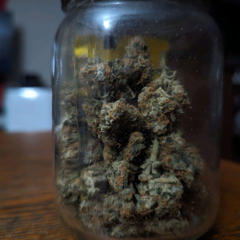 Grandaddy Purp #1 growlog timeline photo