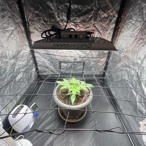 Slurricane growlog timeline photo