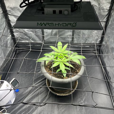 Slurricane growlog timeline photo