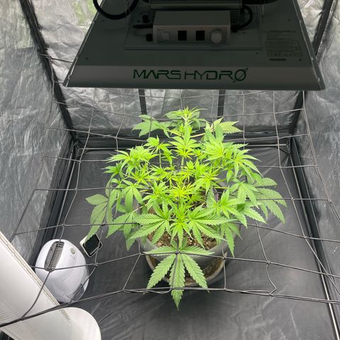 Slurricane growlog timeline photo