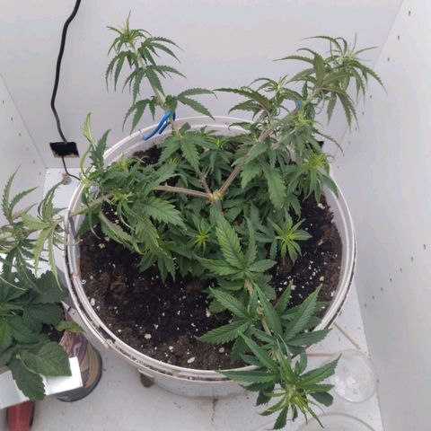 TAKT growlog timeline photo