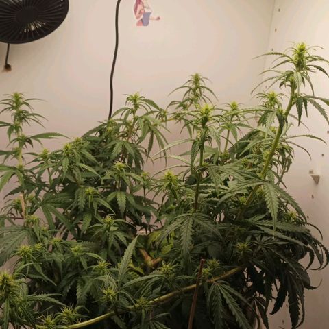 TAKT growlog timeline photo