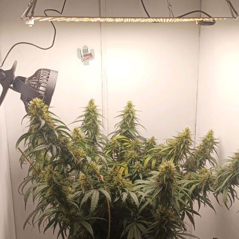 TAKT growlog timeline photo
