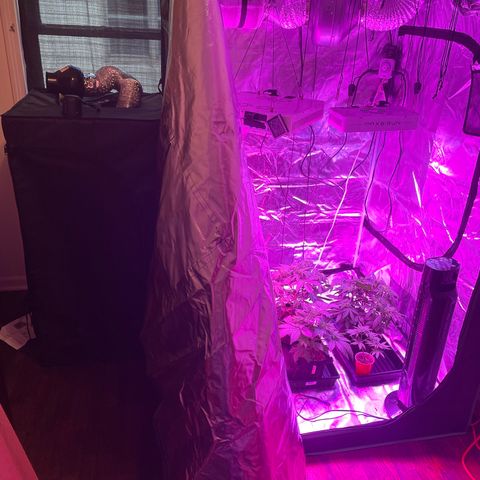 Cookies N Cream growlog photo: Switch from 2x2 to 4x4