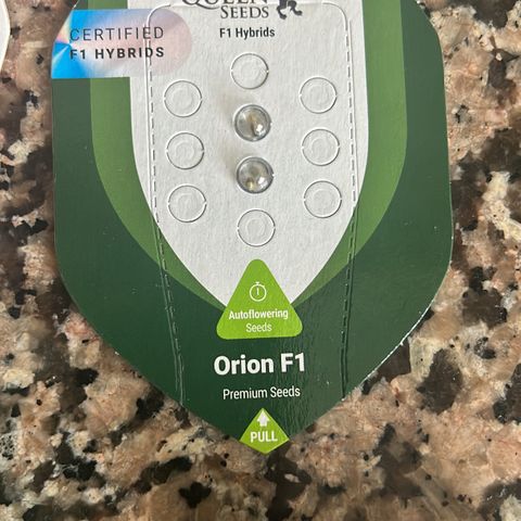 Orion growlog timeline photo