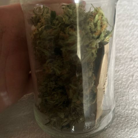 Sandy growlog timeline photo