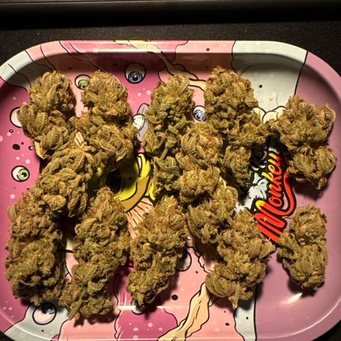 Über-Chocolate  growlog timeline photo