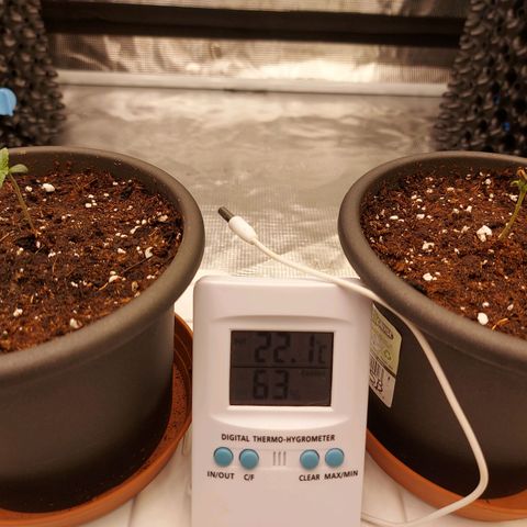 Strawberry Bubbles growlog photo: Bigger pot 

Strawberry Bubbles still has the cap on 

Watered with 6.8 pH
0.4ml/L Voodoo Juice 