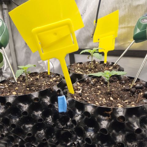 WW #1 growlog timeline photo