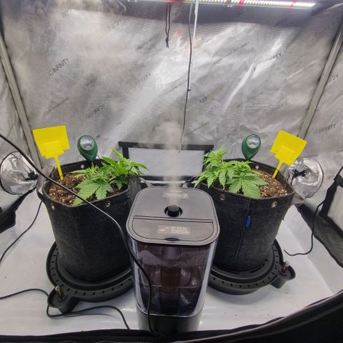 WW #1 growlog timeline photo