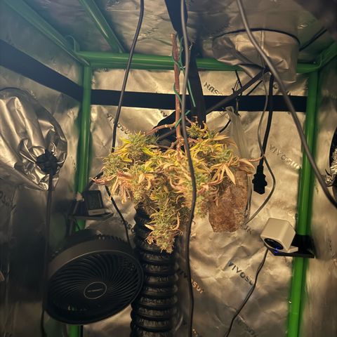 Durbin poison  growlog timeline photo