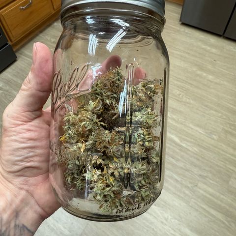 Durbin poison  growlog timeline photo