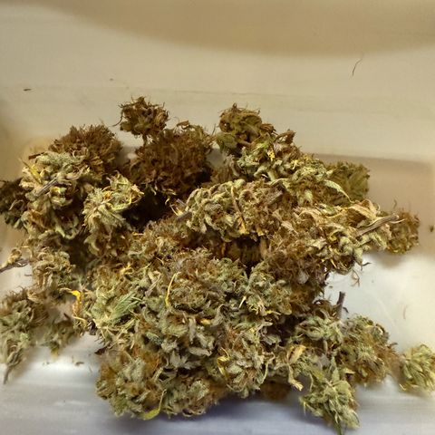 Durbin poison  growlog timeline photo