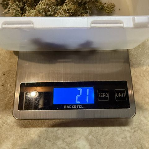 Durbin poison  growlog timeline photo