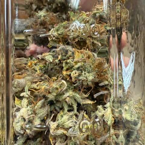 Durbin poison  growlog timeline photo