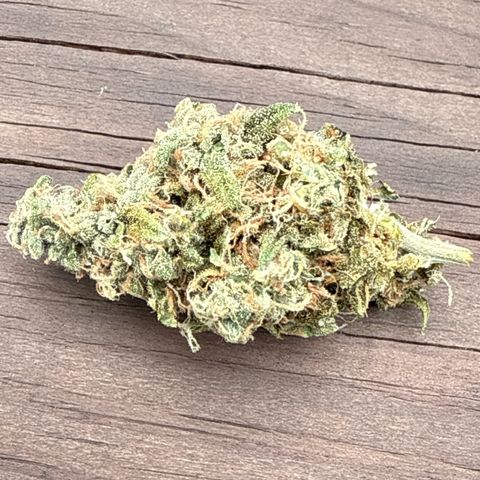 Yuzu 3 growlog timeline photo
