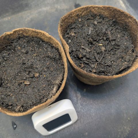 Frozen Black Cherry growlog timeline photo