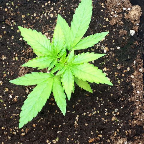 Mary ‎Lou growlog timeline photo