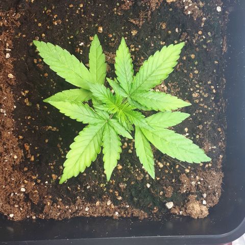 Mary ‎Lou growlog timeline photo