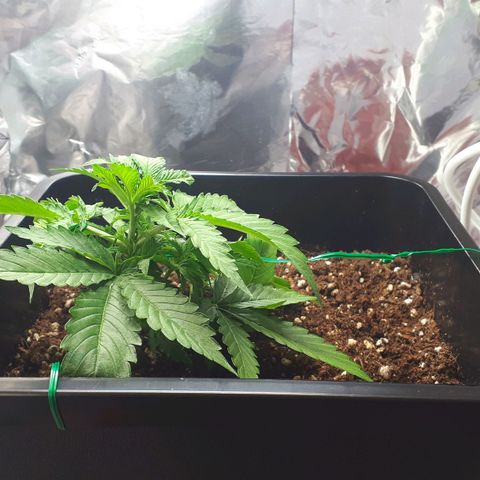 Mary ‎Lou growlog timeline photo
